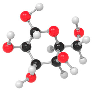 분자구조만들기/포도당/5인용