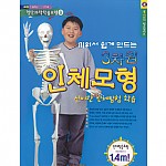 키 1m 40cm의 3차원 인체모형