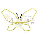 4D프레임 곤충(입체)-나비