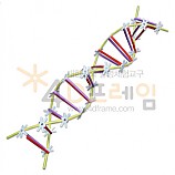 4D프레임 DNA 1
