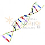 4D프레임 DNA 5