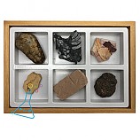 실물화석6종세트/초등화석6종세트