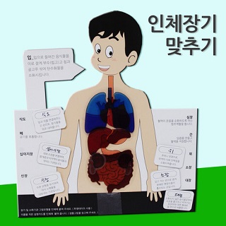 인체장기맞추기/5인용