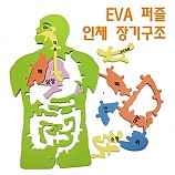 EVA 인체장기구조퍼즐/색상랜덤