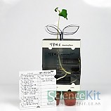 식물미로/4인용
