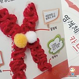 염색체카드/1인용