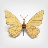 나비-03/곤충