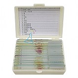 20%↓> 영구프레파라트/인체편15종