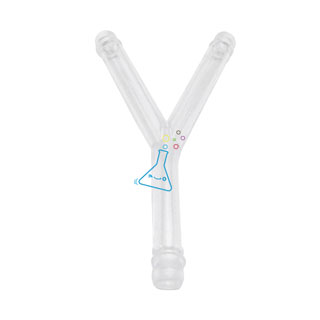 플라스틱 Y자관/호흡기관모형만들기용