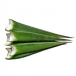 알로에잎/3kg(약3~5개)