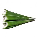 알로에잎/3kg(약3~5개)