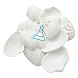 PVC흰색조개모형/조개껍데기/10개입