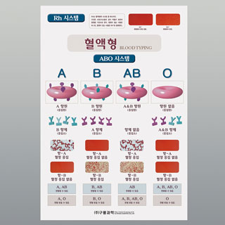 혈액형챠트/10매1조
