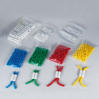 체세포분열시뮬레이션키트