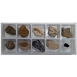 초등화석10종/비상