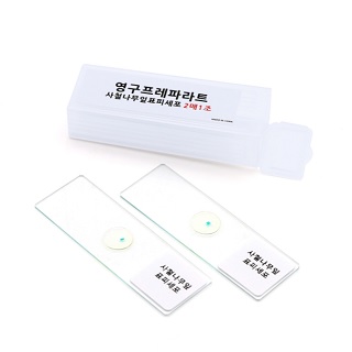 사철나무표피프레파라트/2개1조