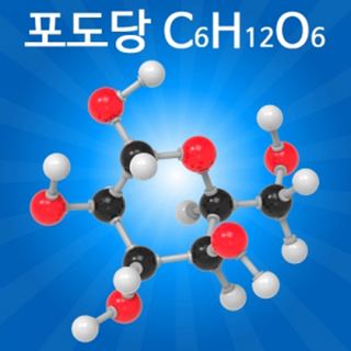 분자구조만들기/포도당/5인용