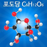 분자구조만들기/포도당/5인용