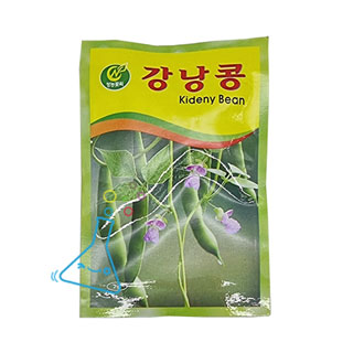 강낭콩씨앗/약5알정도